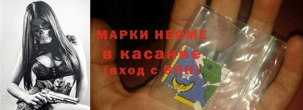 шишки Аркадак