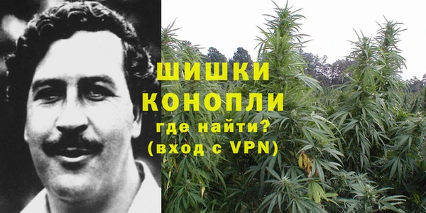 шишки Аркадак